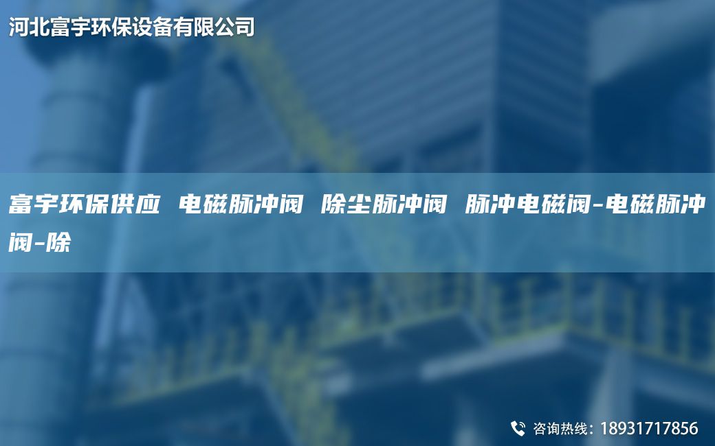 富宇環保供應 電磁脈沖閥 除塵脈沖閥 脈沖電磁閥-電磁脈沖閥-除